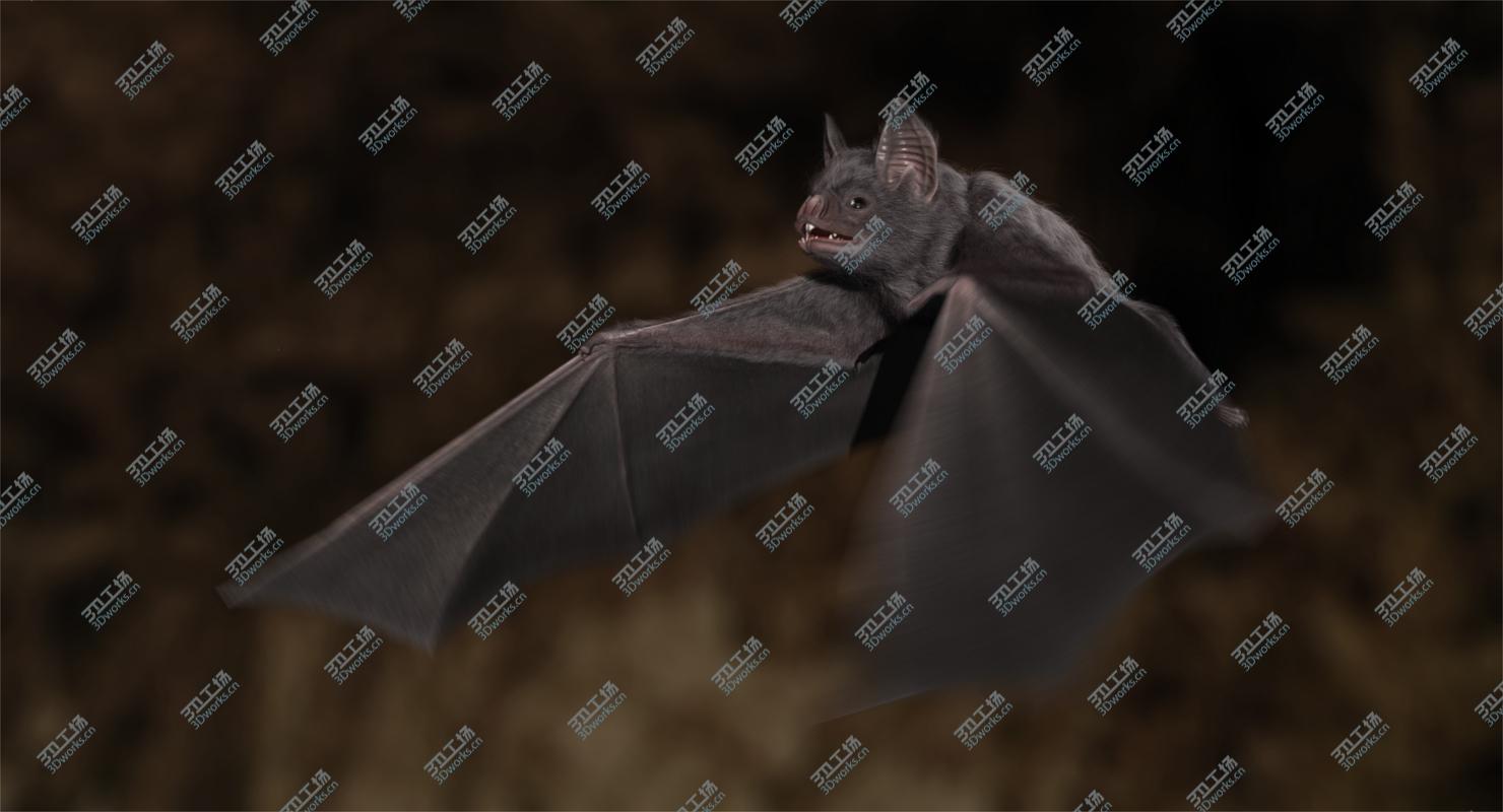 images/goods_img/20210113/Vampire Bat (Animated)/1.jpg